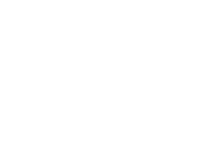 Evolution games at Apolo Bet Casino